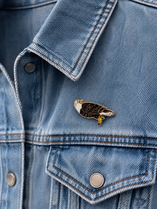 Pins aigle