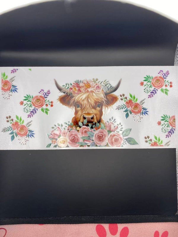 Animal-cow