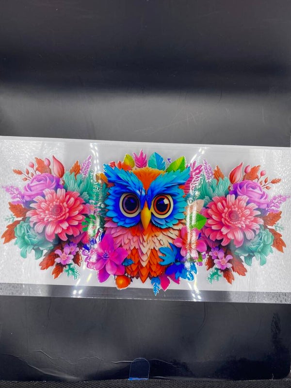 Animal-owl
