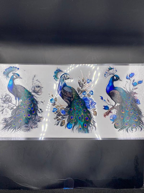 Animal-peacock