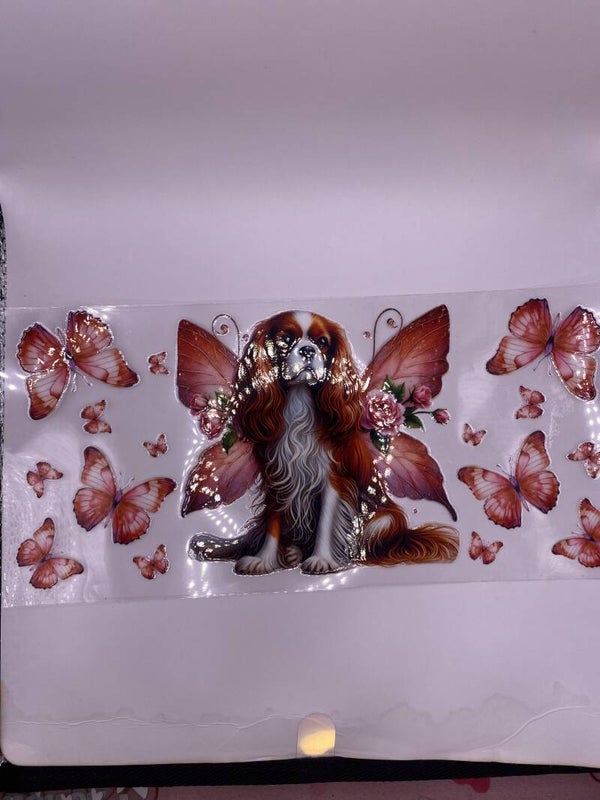 Animals-dog-butterfly