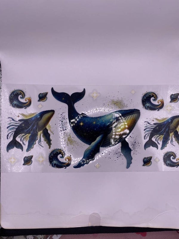 Animals-whale