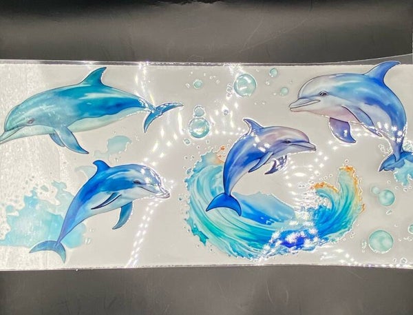 Dolphin