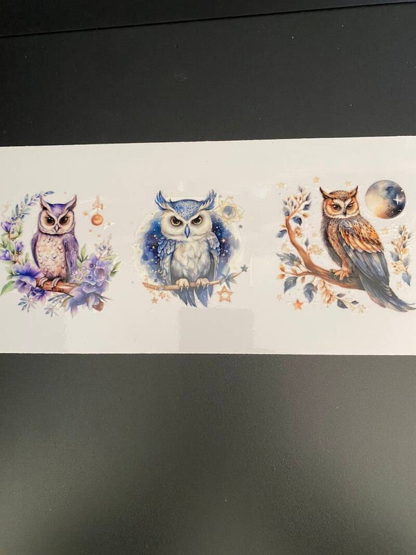 Owl 1