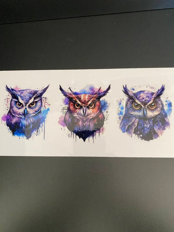 Animal-owl
