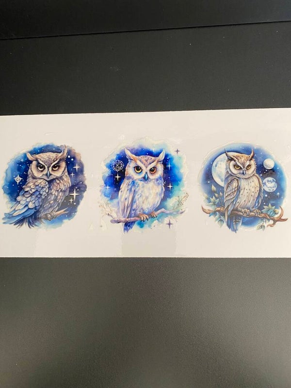 Animal-owl
