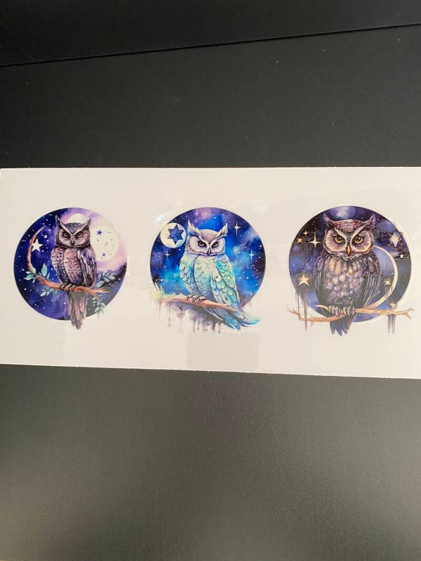 Animal-owl