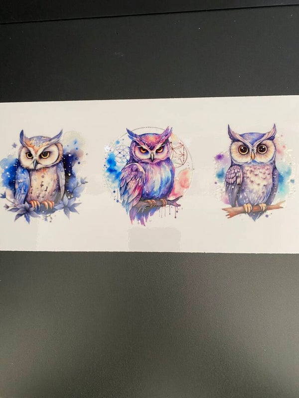 Animal-owl