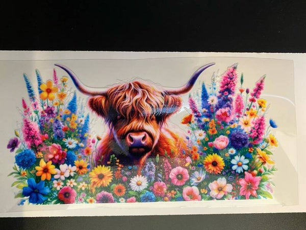 Animal-cow