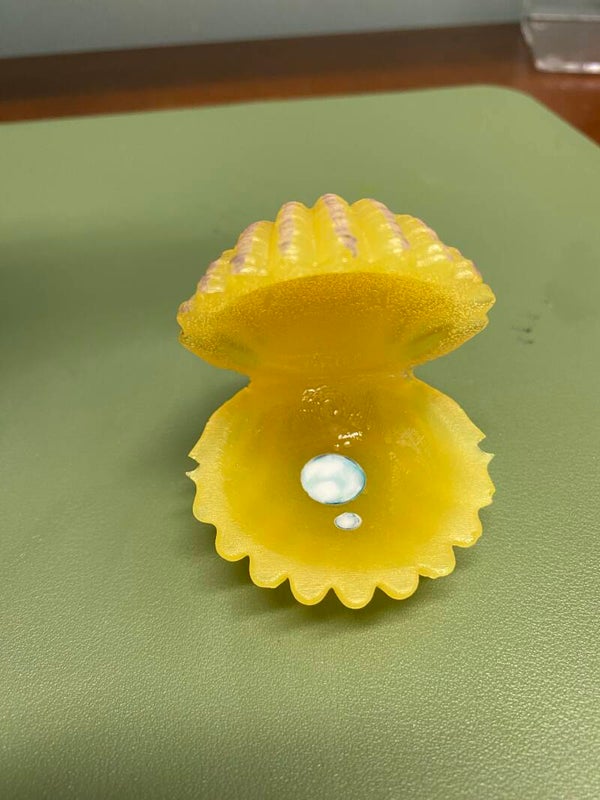 Clam