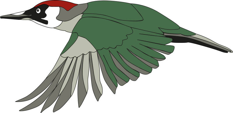 Kinderpraktijk De Groene Specht Amersfoort Marieke Bakker