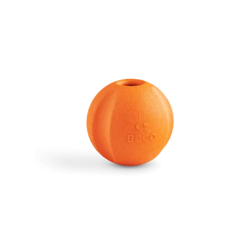Beco apporteer bal oranje