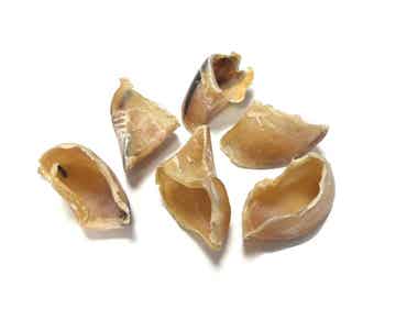 Kauwhoefjes  rund zak 10st