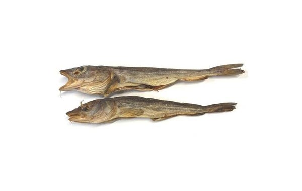 Wijting 350gr