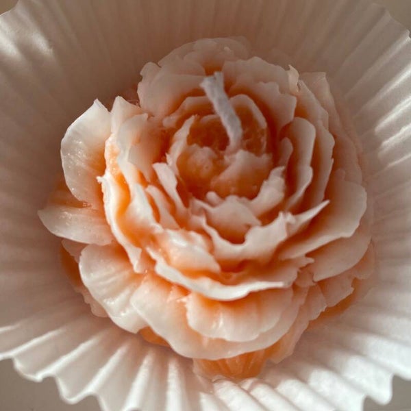 Pfingstrose Kerze Mittel