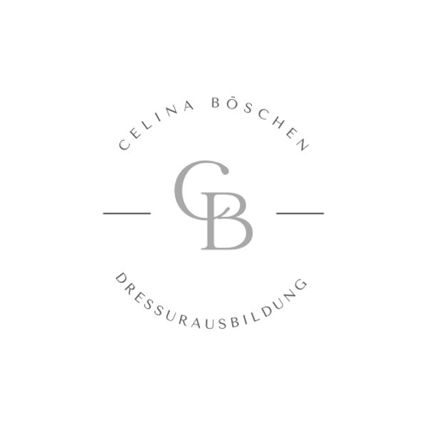 Fortlaufender Reiter/innen Fitness Kurs 20:15-21:15