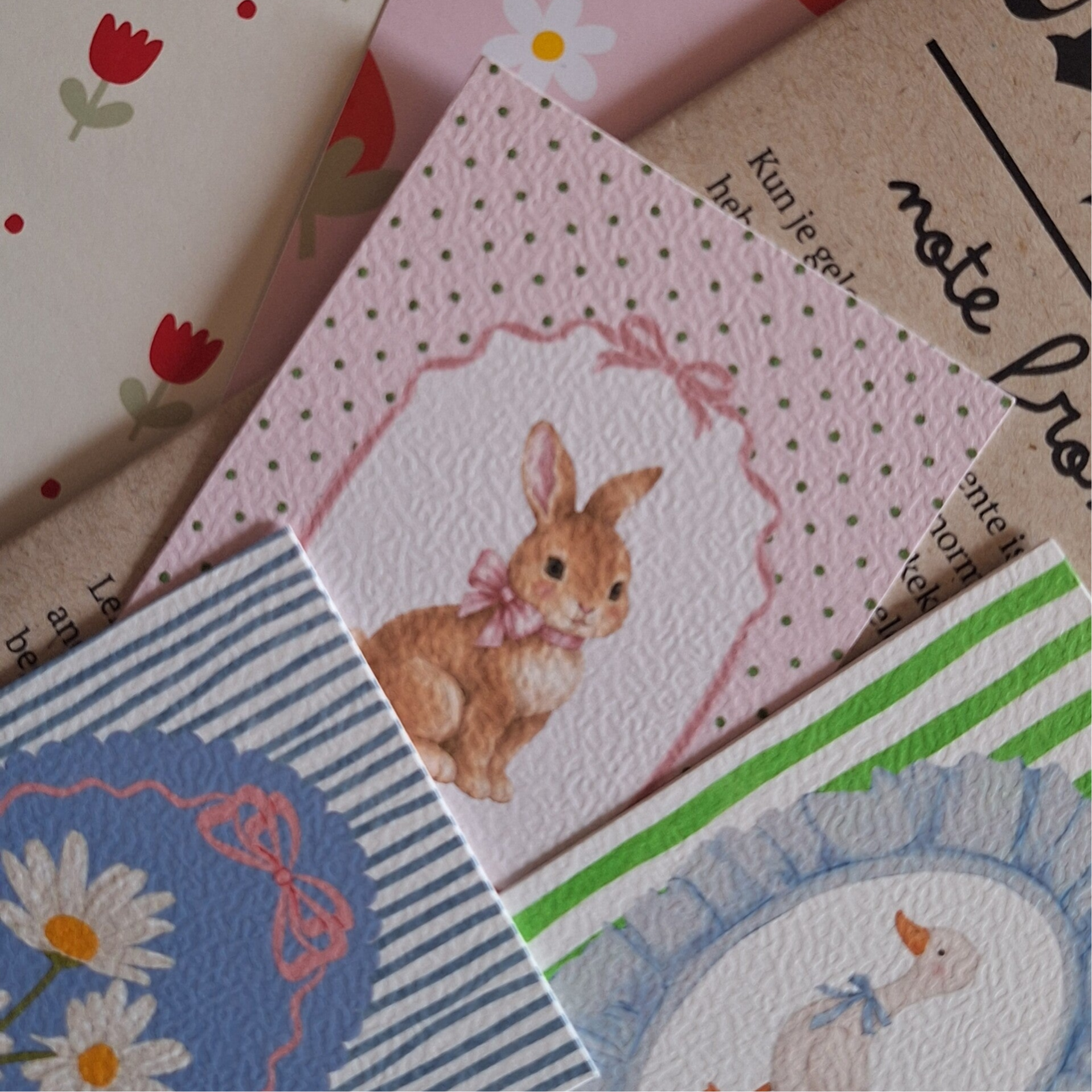 Mysa Mail Club Lente 🐣💐