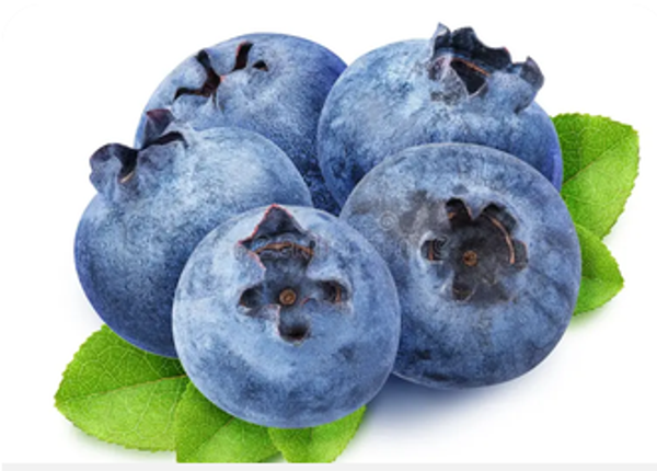 Blueberry Greek Soda Kit