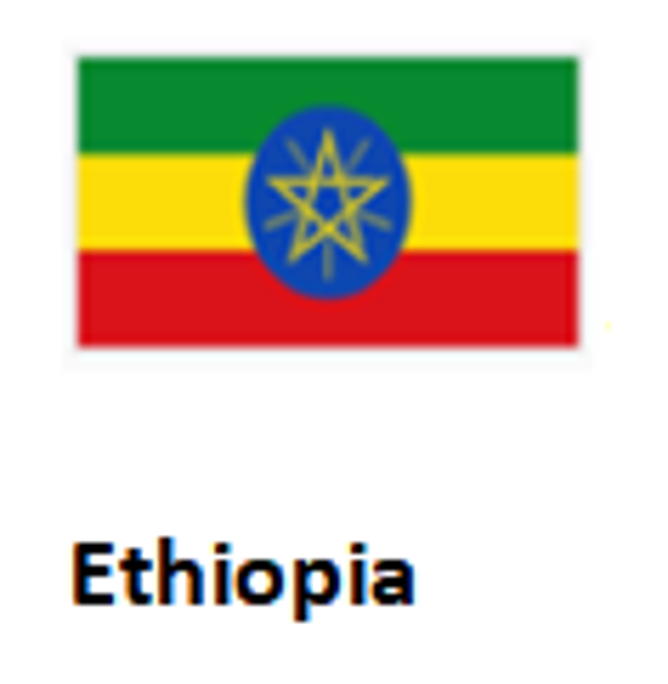 ET 3. Atakilt Bean Stew Ethiopian Vegetable & Bean Stew)