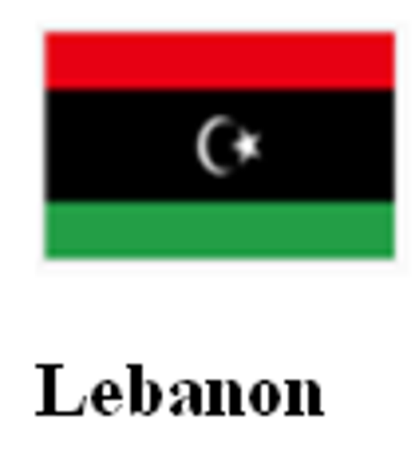 LB 3. Lebanese Chickpea Stew