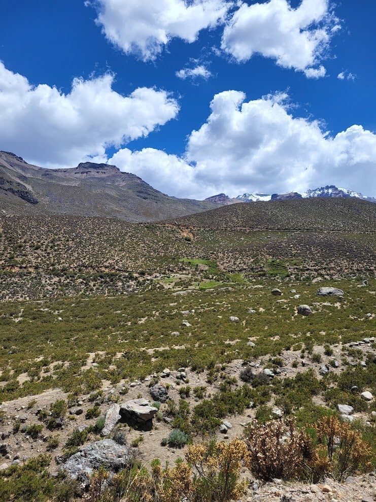 Laguna de Salinas bij Arequipa in Zuid-Peru