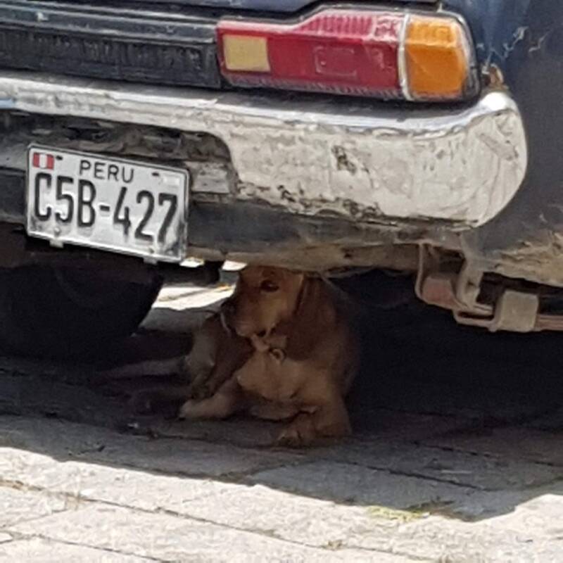 peru per auto