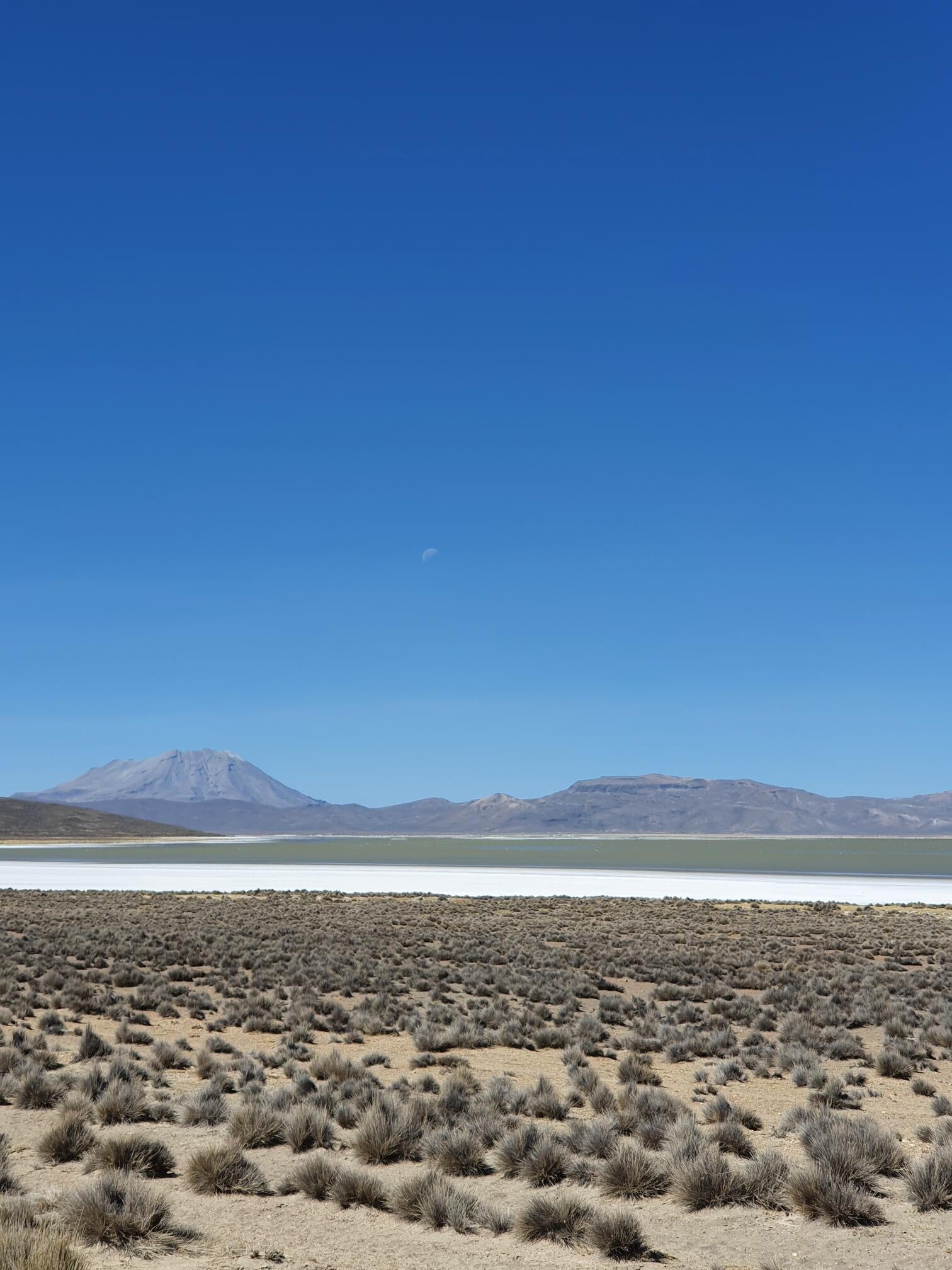 Laguna de Salinas bij Arequipa in Peru