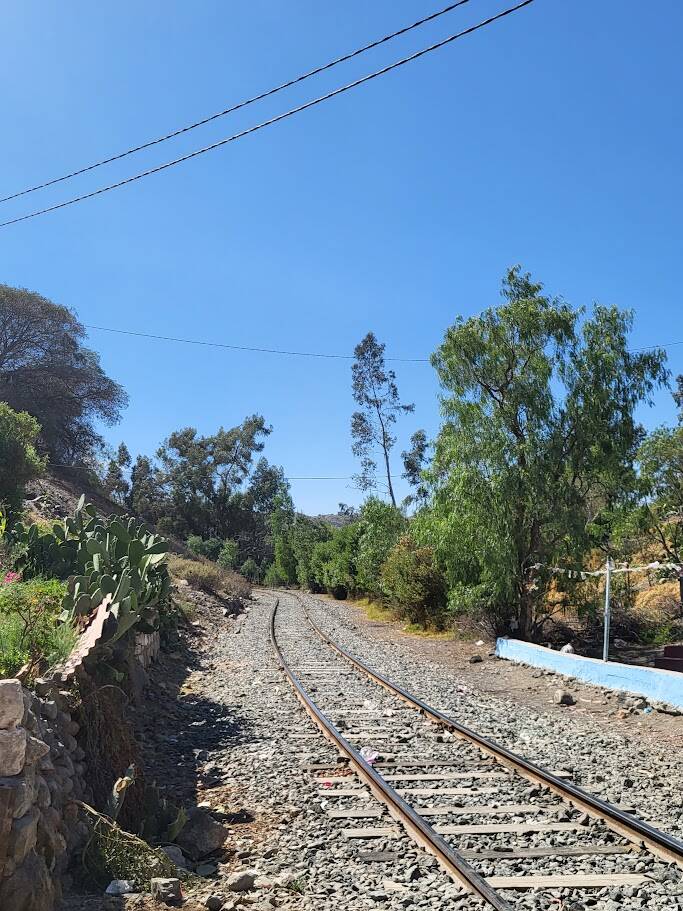 Spoorlijn tussen bomen en begroeiing in Peru, gefotografeerd tijdens mijn jaren in het land.