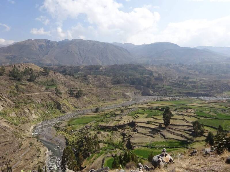 colca canyon