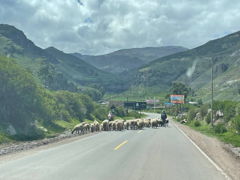 Weg in peru