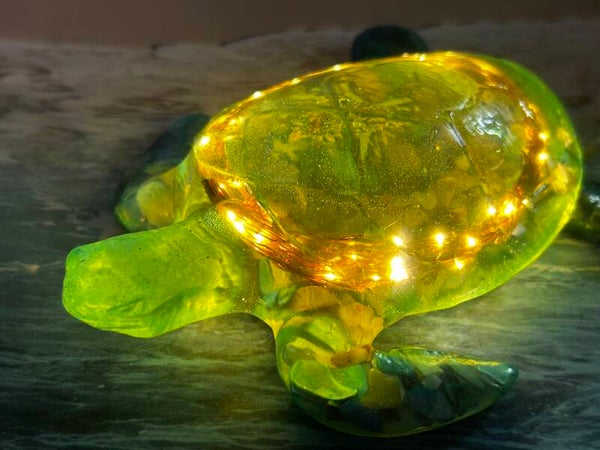 Lighted Turtle