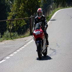 km-263-standard.jpg