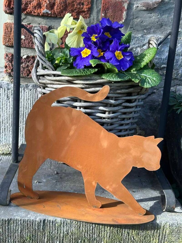 Chat