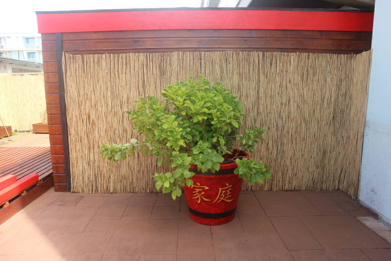 chinese airbrush airbrushing art airbrush art den haag ying yang