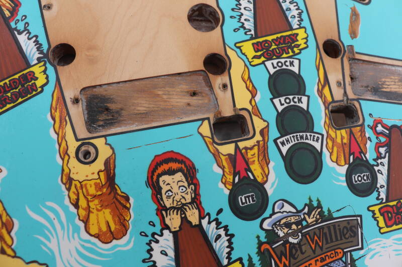 Williams White Water PlayField