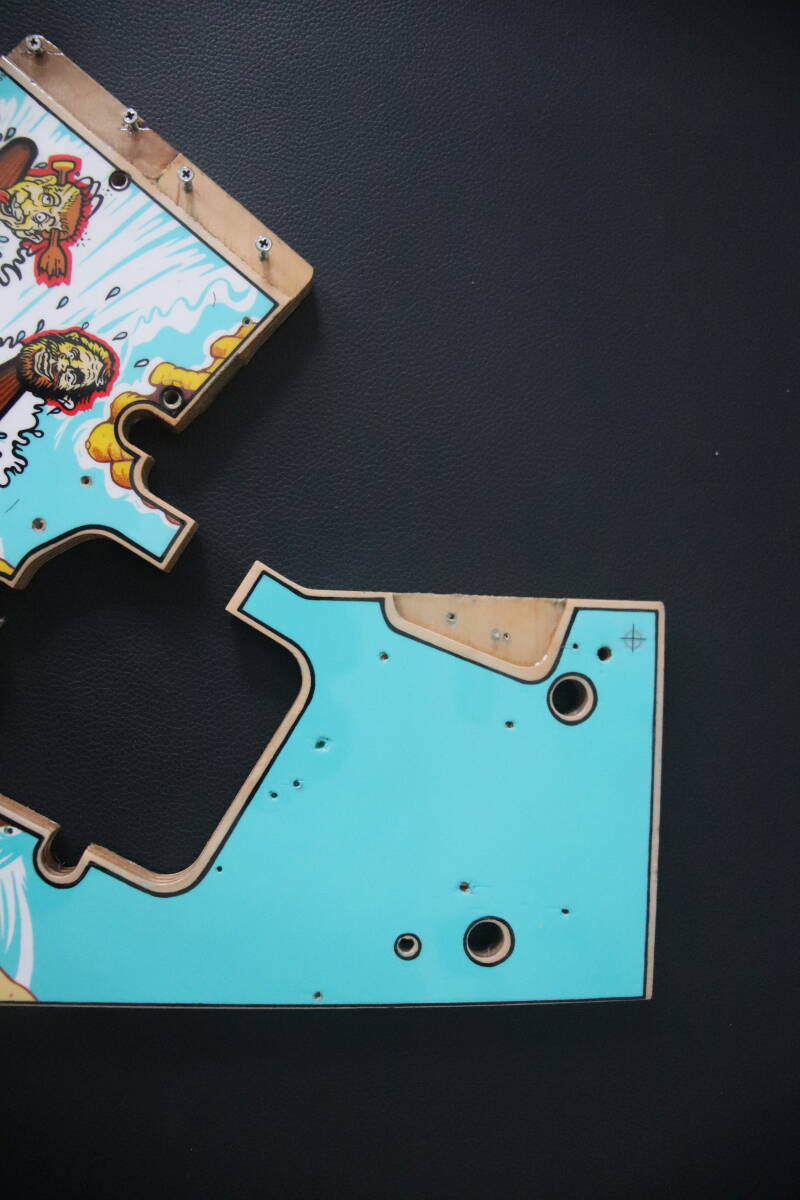 Williams White Water PlayField