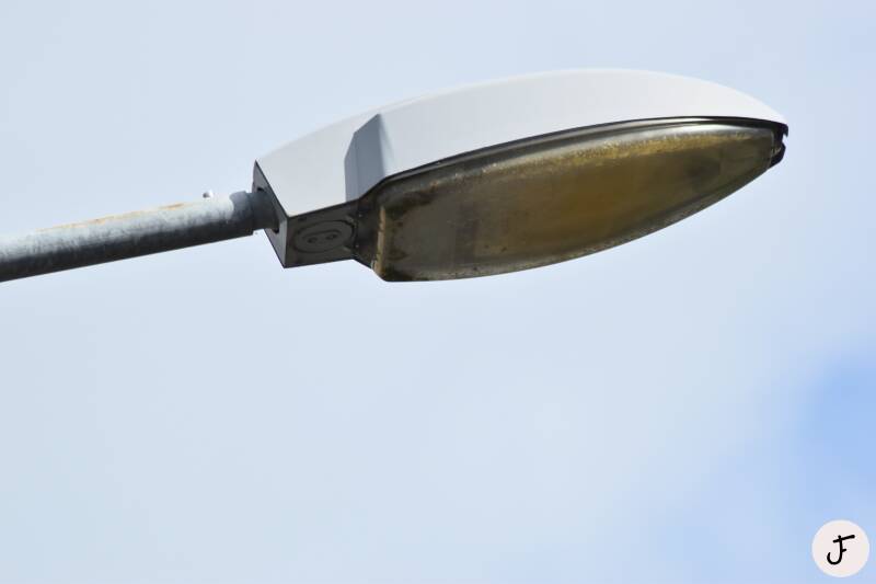 Leipziger Lechten ASL 2010