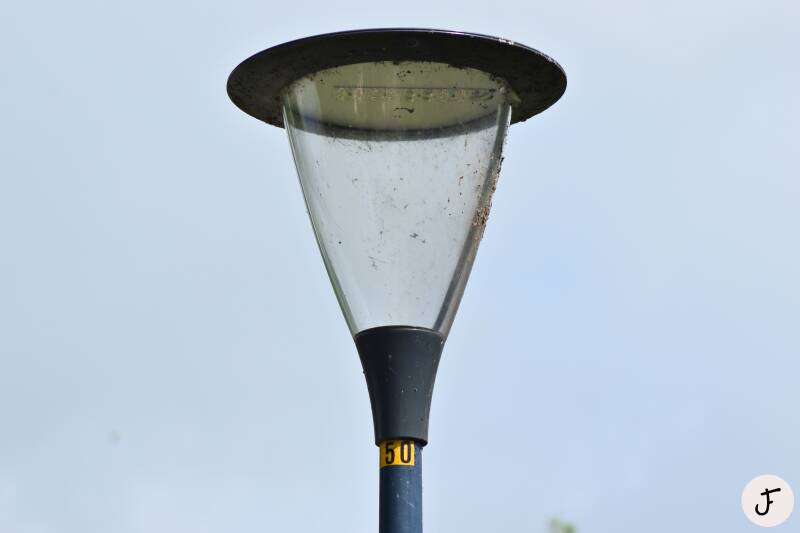 Lightronics Prunus A1