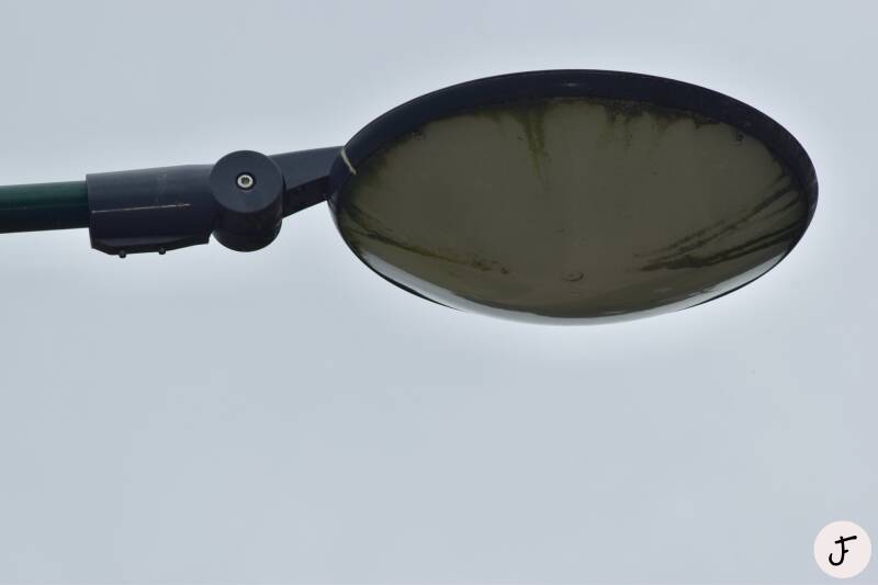 Lightronics Prunus E3