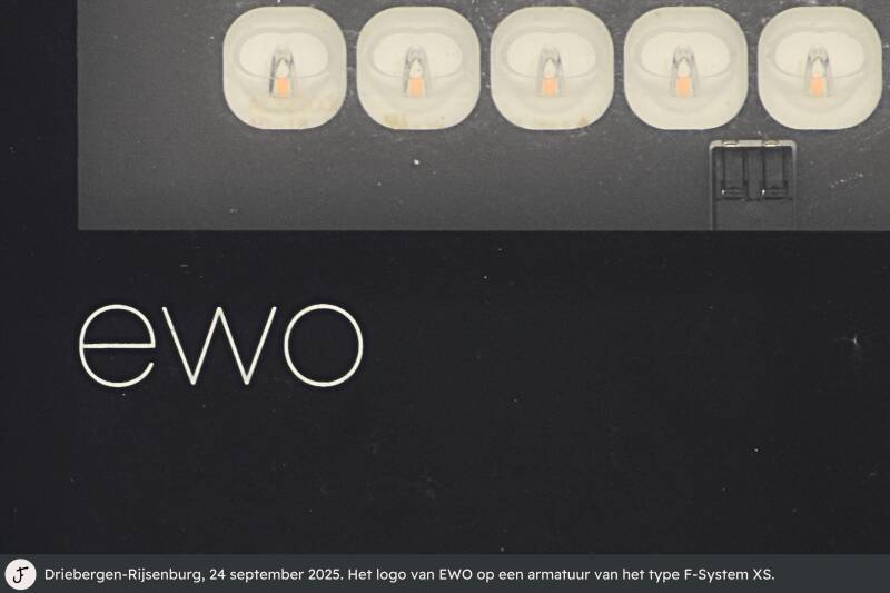 Logo EWO