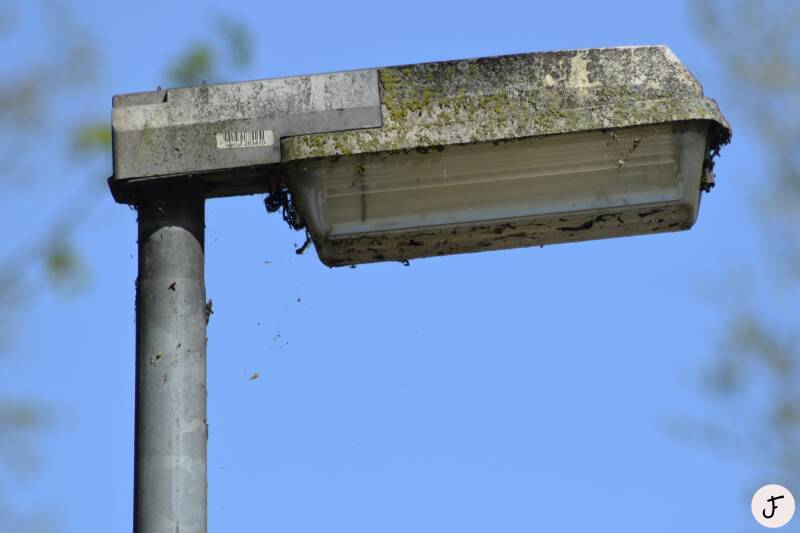 Philips FGS103 straatverlichting