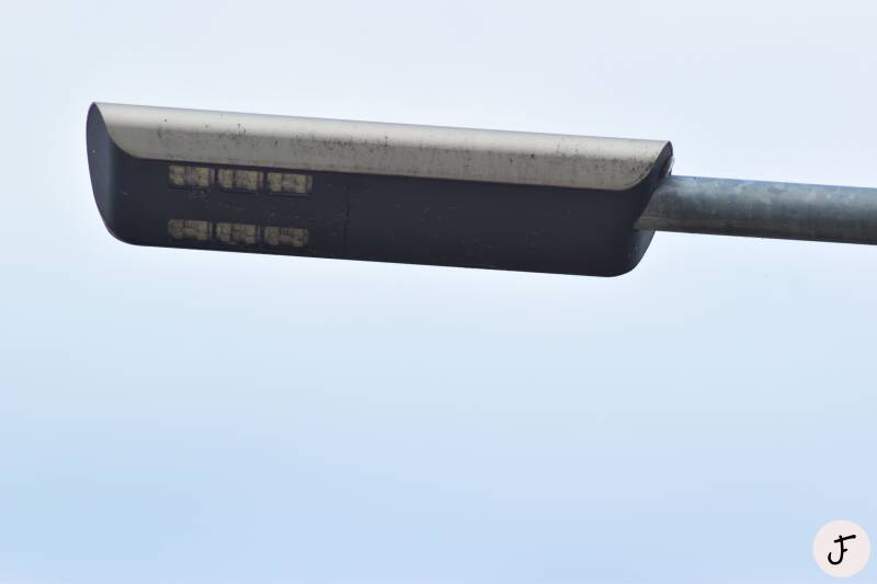 ROSA Cuddle Mini LED