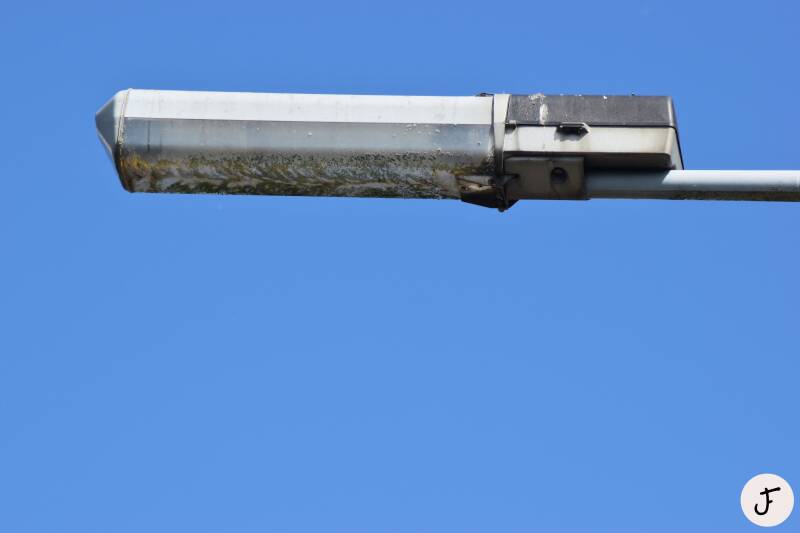 Schréder GZB sox 135 watt straatverlichting streetlight