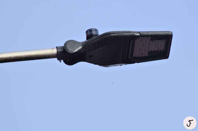 Schréder Izylum 3 Brussel Brussels Bruxelles