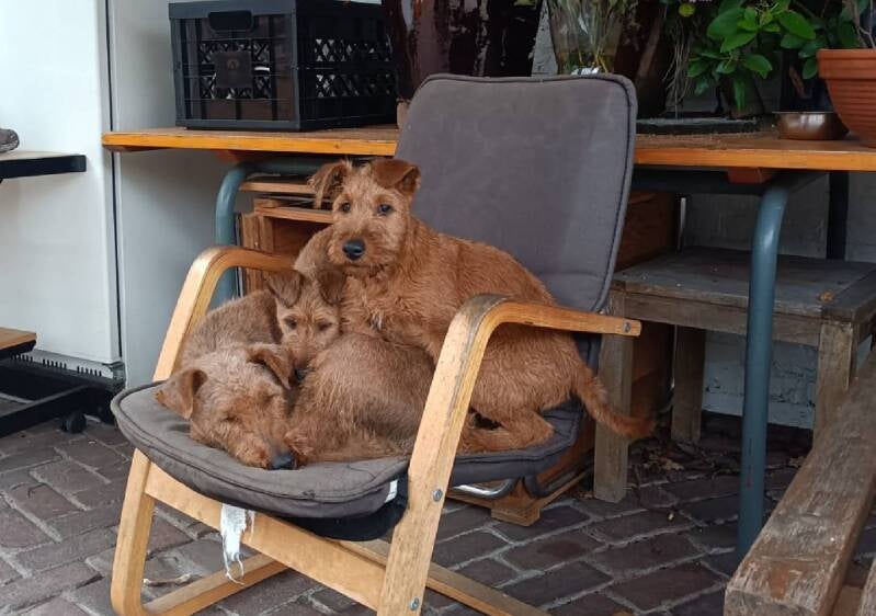 Daya met Rula en Ziva