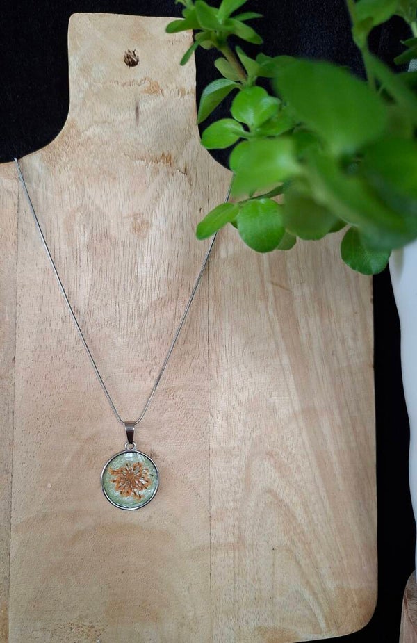 Ketting bloem fluitenkruid
