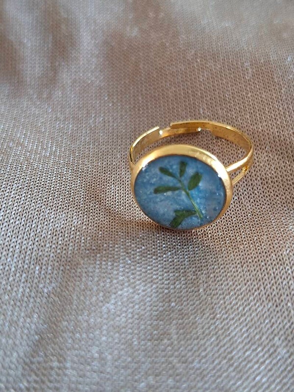 Rvs ring botanisch