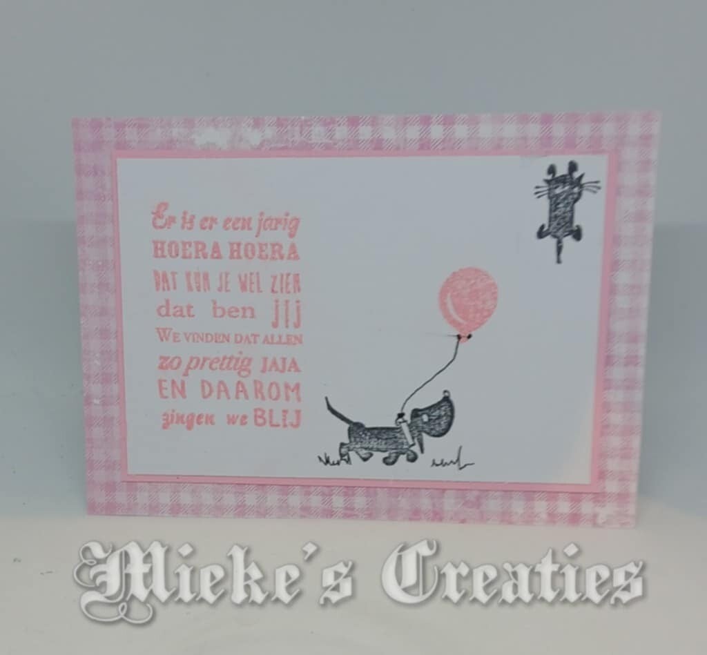 er is der eentje jarig takkie & siep