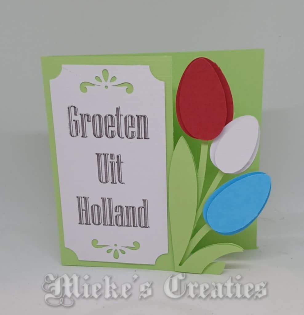 Groeten uit Holland tulpen kaart