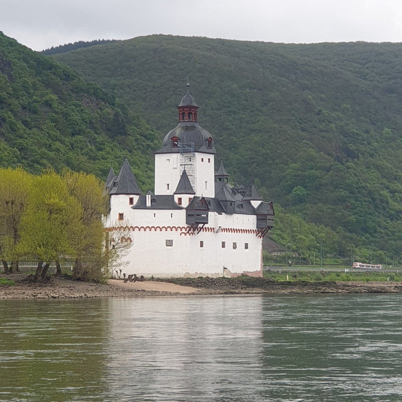 20190426_102318.jpg